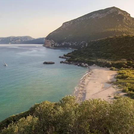 Corbezzolo Capelvenere