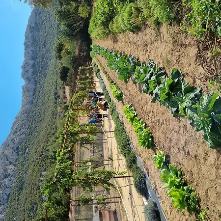 Villa Corbezzolo Dorgali